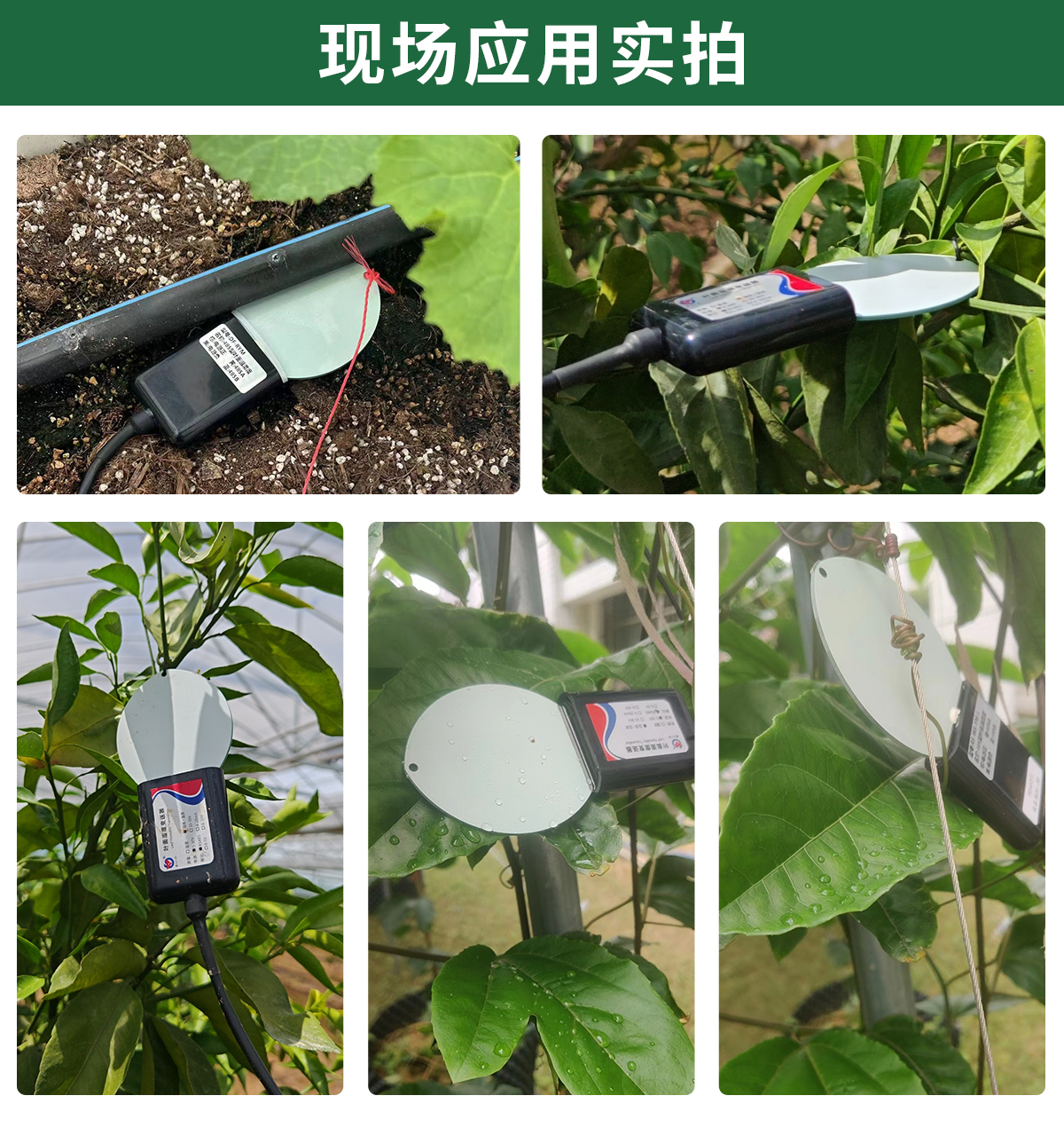 017e1baeaa804f4cb97a4a43b9d12813.jpg 叶面温湿度_05.jpg