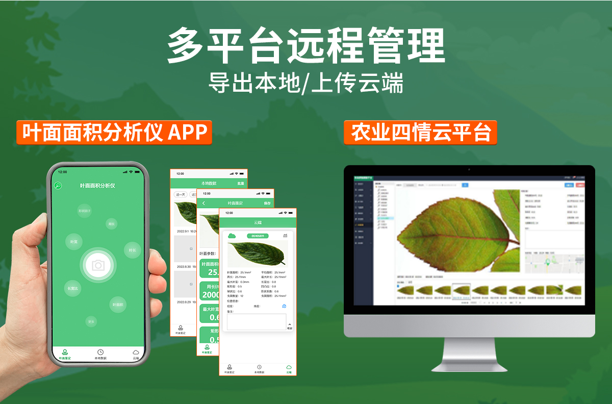 1968d5e97c84310259741a50d6a69e41.jpg 叶面面积分析仪_05.jpg