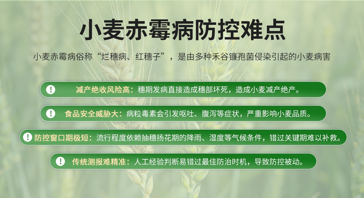 e2a5ef84771d4ea11457c00f9abeae34.jpg